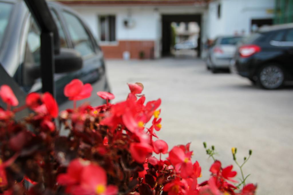 Hotel Santa Marta Pozzuoli Eksteriør bilde